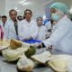 Resmikan Packing House Durian Parimo, Anwar Hafid Minta Dinas Terkait Susun Langkah Tingkatkan Hasil Panen
