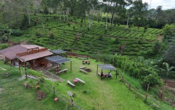 Sentuhan BRILiaN Ubah Tugu Selatan, Ekonomi Desa Tumbuh dari Alam dan Inovasi