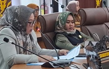 Fraksi Demokrat Dorong Pengelolaan Pajak Daerah yang Adil dan Transparan