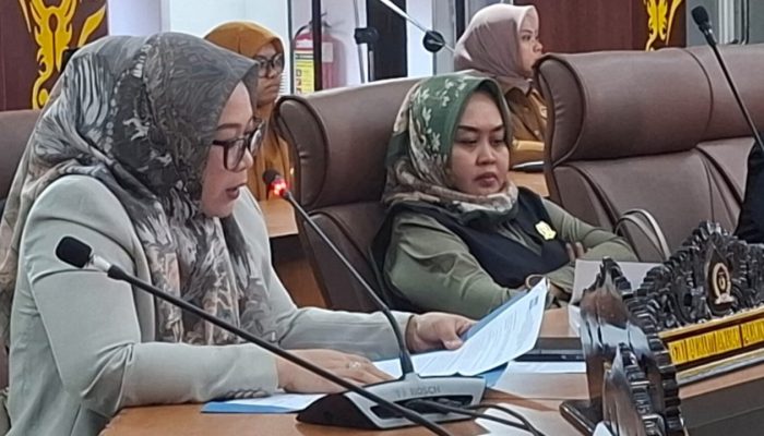 Fraksi Demokrat Dorong Pengelolaan Pajak Daerah yang Adil dan Transparan