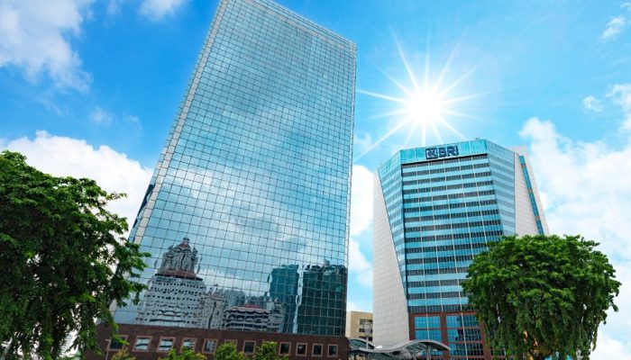 Laba Perusahaan Anak BRI Group Tembus Rp10,38 Triliun pada 2025