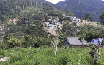 Ancaman Tambang Emas Ilegal di Dongi-Dongi, Komnas HAM Sulteng Desak Aparat Tangkap Pemodal