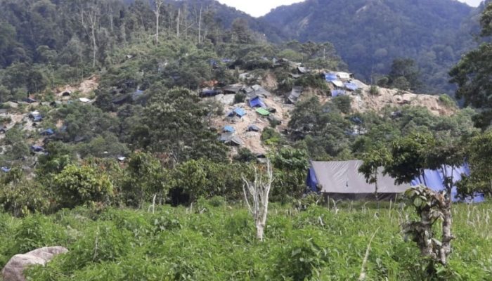 Ancaman Tambang Emas Ilegal di Dongi-Dongi, Komnas HAM Sulteng Desak Aparat Tangkap Pemodal