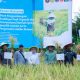 Panen Demplot Padi PT Vale di Kolaka Capai 21,9 Ton, Dorong Ketahanan Pangan Daerah