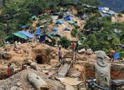 Gakkum KLHK Siap Menindak Aktivitas Pertambangan Emas Ilegal di Kawasan Dongi-Dongi