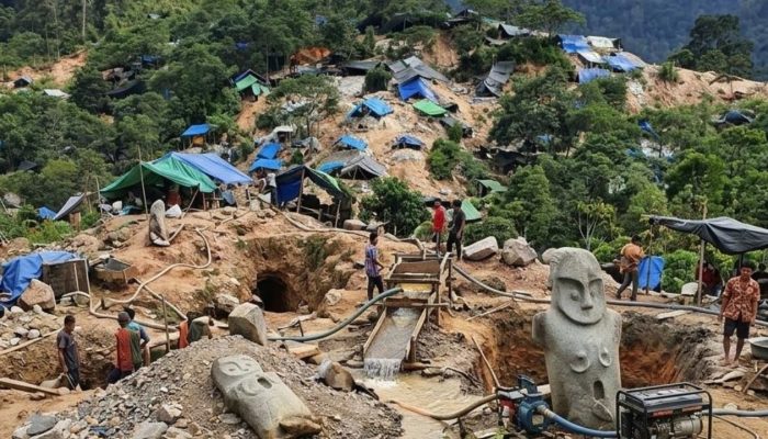 Gakkum KLHK Siap Menindak Aktivitas Pertambangan Emas Ilegal di Kawasan Dongi-Dongi