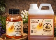 Berawal dari Relawan Gempa Lombok, BeeFam’s Kembangkan Usaha Madu Trigona Melalui LinkUMKM BRI