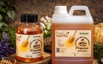 Berawal dari Relawan Gempa Lombok, BeeFam’s Kembangkan Usaha Madu Trigona Melalui LinkUMKM BRI
