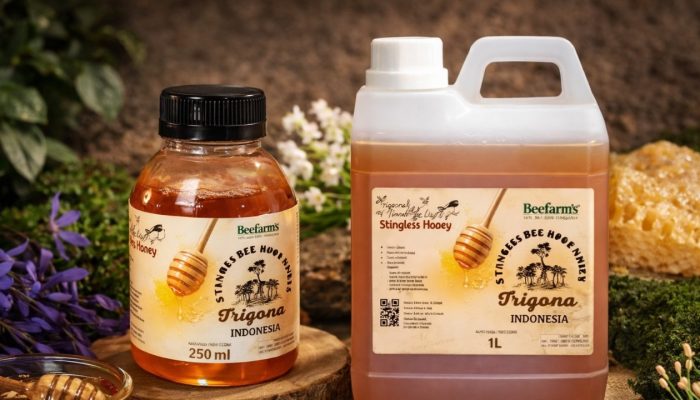 Berawal dari Relawan Gempa Lombok, BeeFam’s Kembangkan Usaha Madu Trigona Melalui LinkUMKM BRI