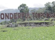 Desa BRILiaN Tompobulu: Bukti Nyata Sinergi Potensi Lokal dan Digitalisasi Dorong Pertumbuhan Ekonomi Berkelanjutan