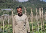 Mengenal Desa BRILian Sumowono, Desa Sayur yang Tumbuhdan Terus Berinovasi Bersama BRI