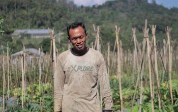 Mengenal Desa BRILian Sumowono, Desa Sayur yang Tumbuhdan Terus Berinovasi Bersama BRI