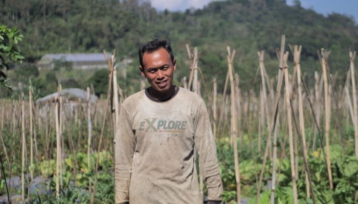 Mengenal Desa BRILian Sumowono, Desa Sayur yang Tumbuhdan Terus Berinovasi Bersama BRI
