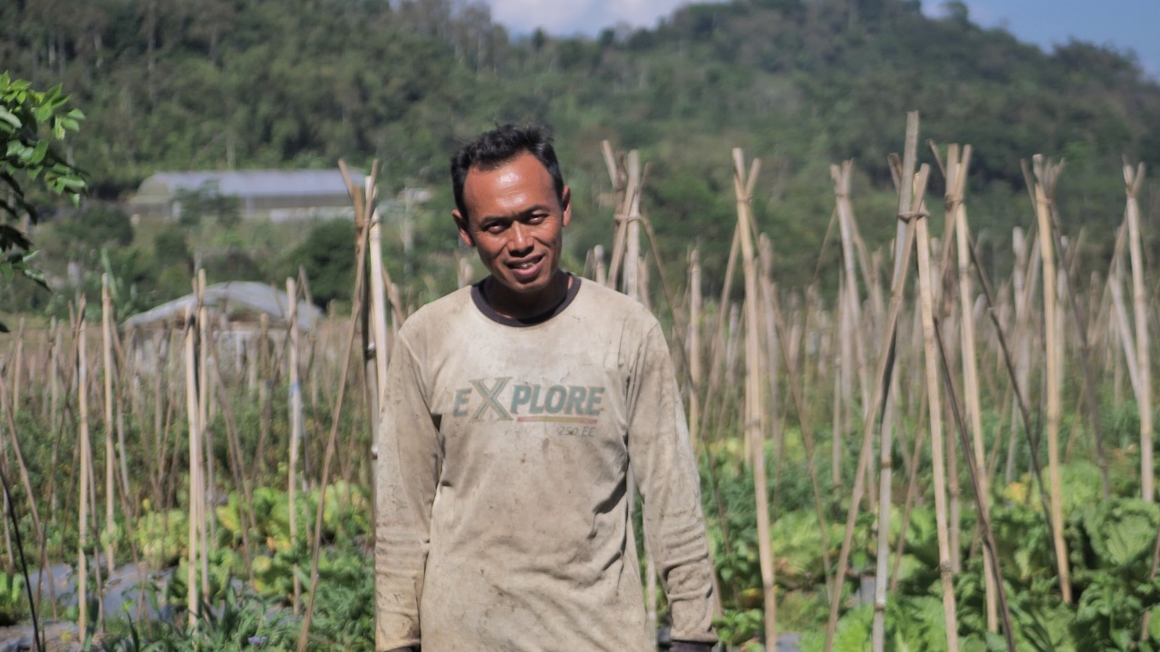 Mengenal Desa BRILian Sumowono, Desa Sayur yang Tumbuhdan Terus Berinovasi Bersama BRI