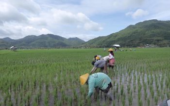 Berbasis Gotong Royong, Desa Manemeng Perkuat Ekosistem Ekonomi Kerakyatan melalui Program Desa BRILiaN