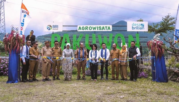 Lewat Program Desa BRILiaN, Desa Pajambon di Kuningan Jadi Contoh Transformasi Ekonomi Berbasis Potensi Lokal