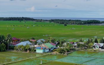 Dari Potensi Lokal ke Prestasi Nasional, Desa BRILiaN Sausu Tambu Perkuat Ekonomi Pesisir