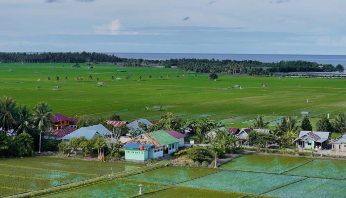 Dari Potensi Lokal ke Prestasi Nasional, Desa BRILiaN Sausu Tambu Perkuat Ekonomi Pesisir