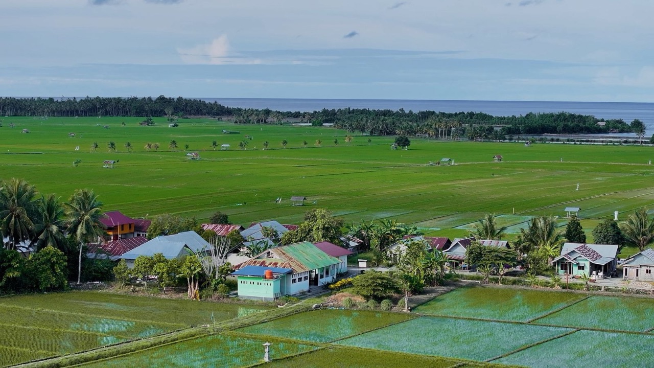 Dari Potensi Lokal ke Prestasi Nasional, Desa BRILiaN Sausu Tambu Perkuat Ekonomi Pesisir