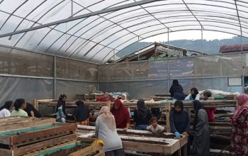 Perempuan Nasabah PNM Mekaar di Bandung Barat Kembangkan Usaha lewat Sinergi Ultra Mikro BRI