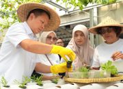 Perempuan Berdaya Lewat Program BRInita, Intip Kisah Inspiratif KWT Buaran Citra Lestari Manfaatkan Lahan Sempit untuk Tanaman Produktif
