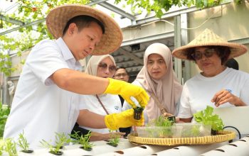 Perempuan Berdaya Lewat Program BRInita, Intip Kisah Inspiratif KWT Buaran Citra Lestari Manfaatkan Lahan Sempit untuk Tanaman Produktif