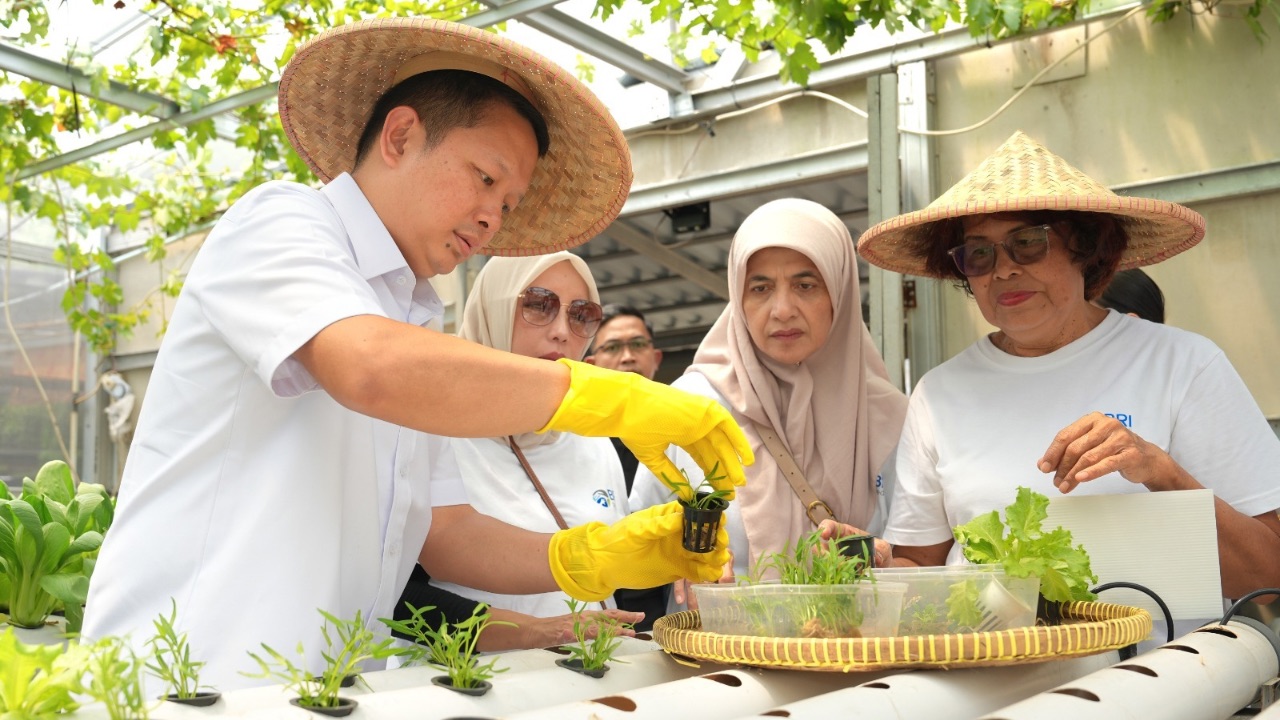 Perempuan Berdaya Lewat Program BRInita, Intip Kisah Inspiratif KWT Buaran Citra Lestari Manfaatkan Lahan Sempit untuk Tanaman Produktif