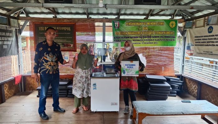 Dari 1 Ekor Jadi 100 Ekor, Ras Farm Tumbuh Pesat Berkat KUR BRI