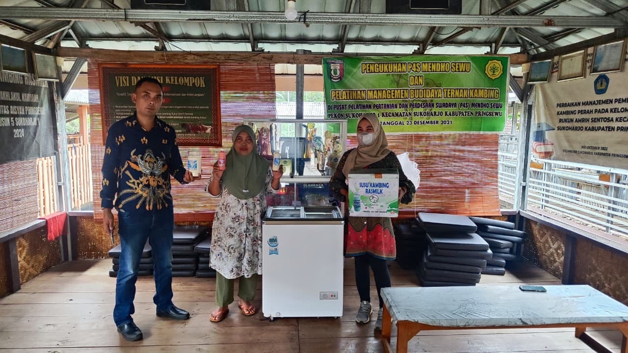 Dari 1 Ekor Jadi 100 Ekor, Ras Farm Tumbuh Pesat Berkat KUR BRI