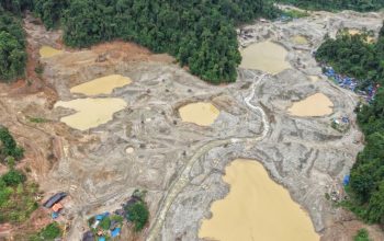 Alat Berat Sudah Tinggalkan Lokasi Tambang Emas Ilegal Lobu Parimo Sepekan Sebelum Kedatangan Polisi