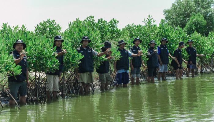Peringati Hari Bumi, BRI Perkuat Komitmen Jaga Ekosistem Pesisir Lewat Penanaman Mangrove di Muara Gembong Bekasi