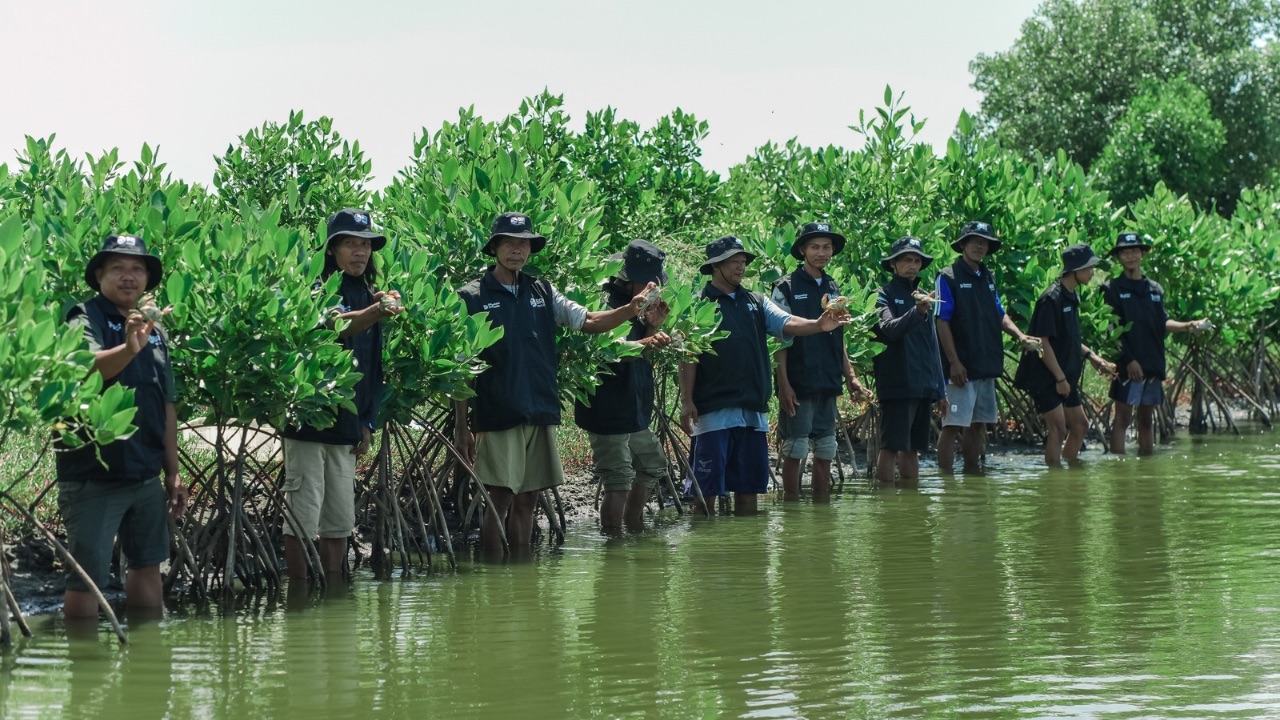 Peringati Hari Bumi, BRI Perkuat Komitmen Jaga Ekosistem Pesisir Lewat Penanaman Mangrove di Muara Gembong Bekasi
