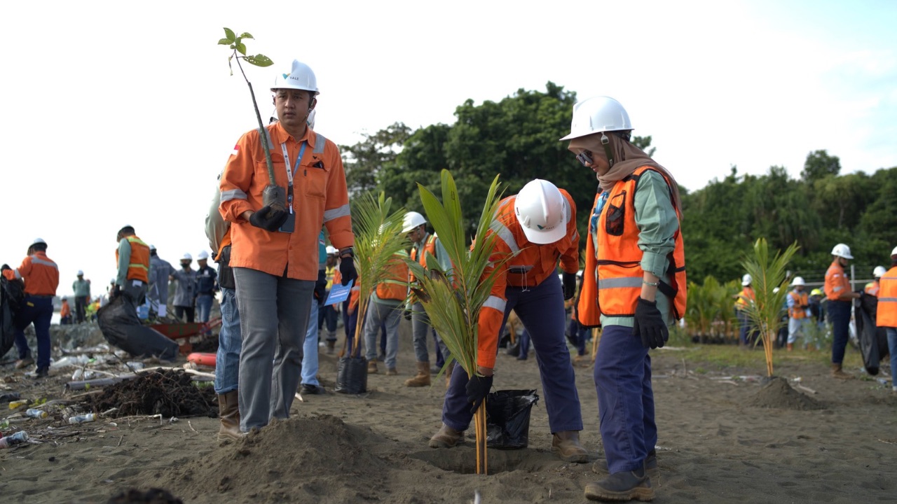 Peringati Hari Bumi, PT Vale Tanam Mangrove hingga Bersih Pantai di Morowali
