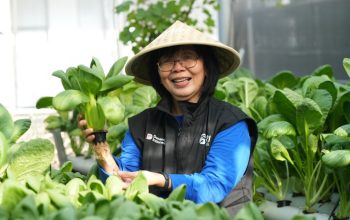 BRI Dorong Perempuan Berdaya Lewat Program Urban Farming BRInita