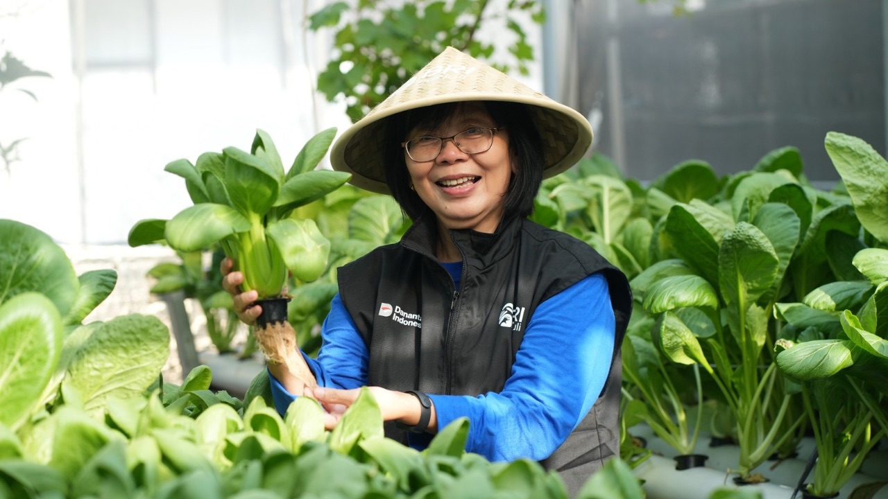 BRI Dorong Perempuan Berdaya Lewat Program Urban Farming BRInita