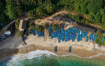 Sentuhan Pemberdayaan BRI Perkuat Lompatan Desa Sumberejo Pacitan Jadi Motor Ekonomi Desa yang Kian Bersinar