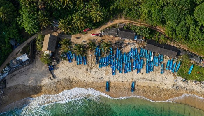 Sentuhan Pemberdayaan BRI Perkuat Lompatan Desa Sumberejo Pacitan Jadi Motor Ekonomi Desa yang Kian Bersinar