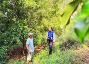 Semangat Kartini di Pegunungan Kolaka Utara, Mantri BRI Ini Tembus Medan Sulit Demi Nasabah