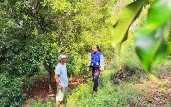 Semangat Kartini di Pegunungan Kolaka Utara, Mantri BRI Ini Tembus Medan Sulit Demi Nasabah
