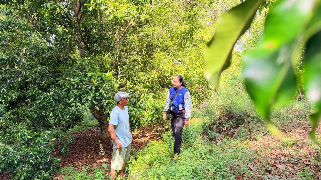 Semangat Kartini di Pegunungan Kolaka Utara, Mantri BRI Ini Tembus Medan Sulit Demi Nasabah