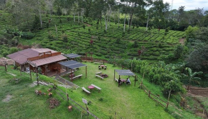 Usung Konsep Desa 5.0, BRI Perkuat Inovasi dan SDM Desa Lewat Program Desa BRILiaN