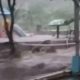 Diguyur Hujan Deras, Empat Desa di Bungku Tengah Morowali Terendam Banjir