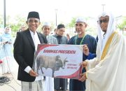 Anwar Hafid Serahkan ‘Si Kentung’ Sapi Kurban Bantuan Presiden Berbobot 922 Kg untuk Masyarakat Sulteng