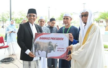 Anwar Hafid Serahkan ‘Si Kentung’ Sapi Kurban Bantuan Presiden Berbobot 922 Kg untuk Masyarakat Sulteng