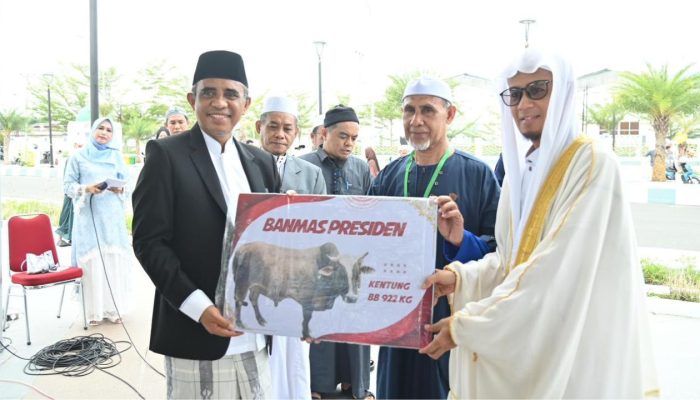 Anwar Hafid Serahkan ‘Si Kentung’ Sapi Kurban Bantuan Presiden Berbobot 922 Kg untuk Masyarakat Sulteng