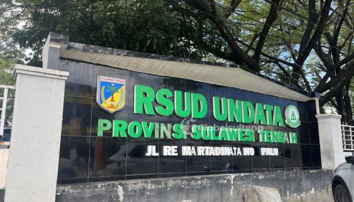 Eks Direktur dan Peranan Oknum Dokter di Pusaran Polemik Jasa Pelayanan RSUD Undata