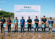 ACC Tanam 5.000 Mangrove di Kubu Raya, Perkuat Komitmen Menjaga Lingkungan