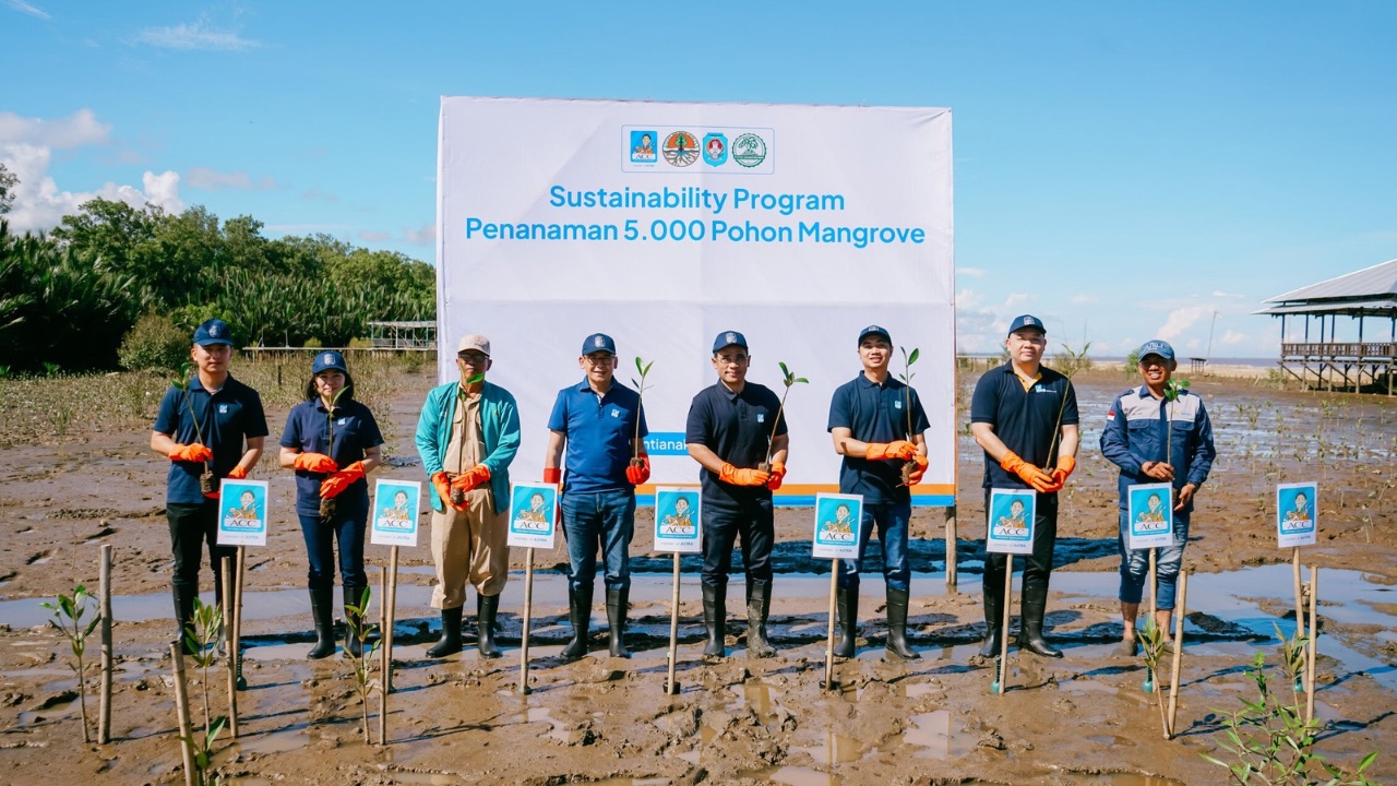 ACC Tanam 5.000 Mangrove di Kubu Raya, Perkuat Komitmen Menjaga Lingkungan