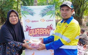 Idul Adha 2026, PT CPM Salurkan 45 Ekor Sapi Kurban untuk Masyarakat Lingkar Tambang