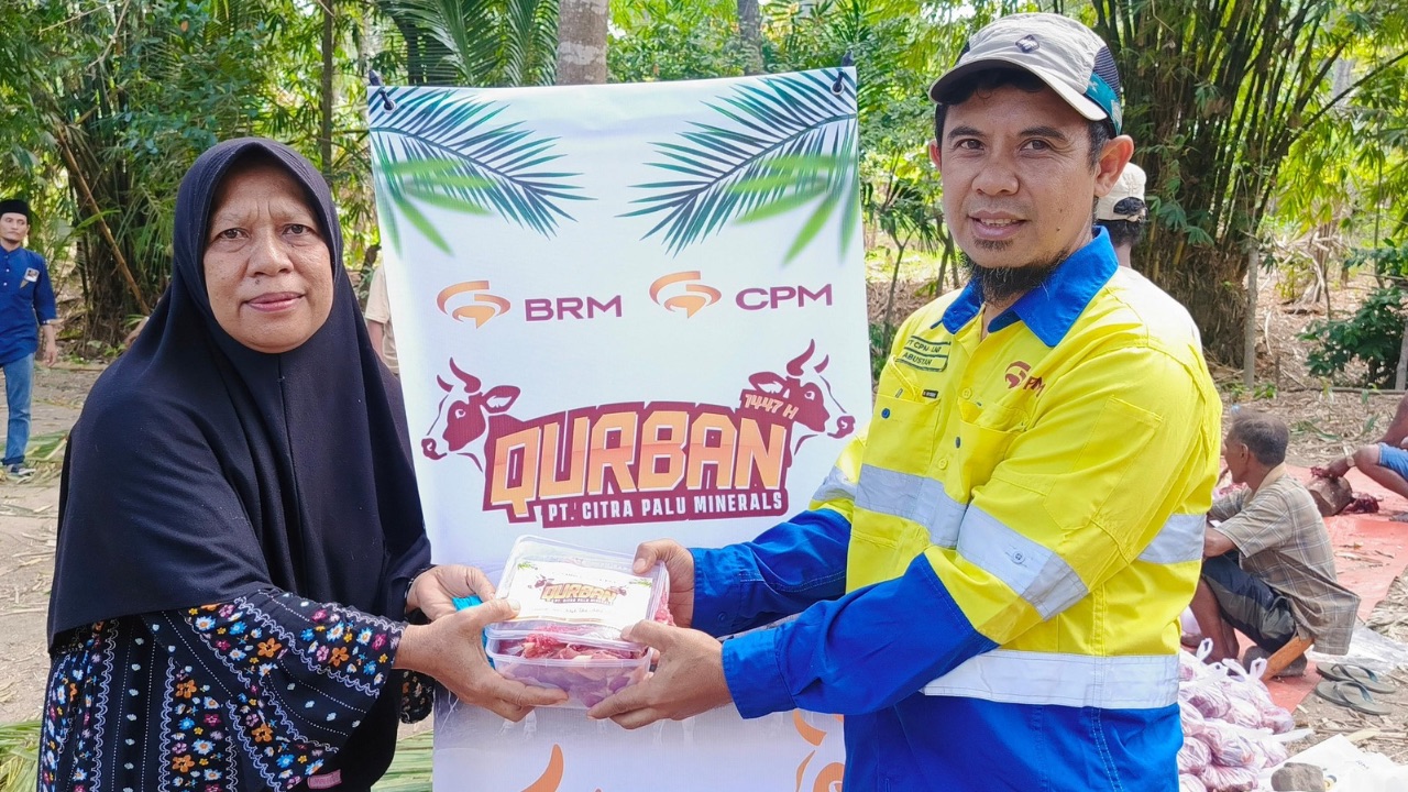 Idul Adha 2026, PT CPM Salurkan 45 Ekor Sapi Kurban untuk Masyarakat Lingkar Tambang